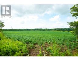 245097 5th Side Road, Amaranth, ON L9W2Z3 Photo 19