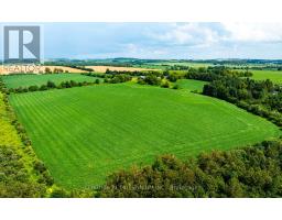 245097 5th Side Road, Amaranth, ON L9W2Z3 Photo 6