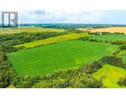 245097 5th Side Road, Amaranth, ON L9W2Z3 Photo 7