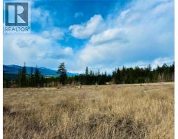 5056 & 5075 93/95 Highway, Fairmont Hot Springs, BC V0B1L1 Photo 9