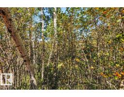 10-51119 Rge Rd 265, Rural Parkland County, AB T7Y1E8 Photo 47