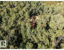 10-51119 Rge Rd 265, Rural Parkland County, AB T7Y1E8 Photo 57