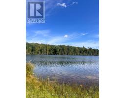 117 Fire Route 396 Route, Trent Lakes, ON K0M2A0 Photo 37