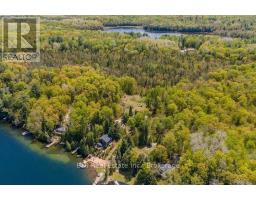 117 Fire Route 396 Route, Trent Lakes, ON K0M2A0 Photo 39