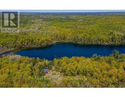 117 Fire Route 396 Route, Trent Lakes, ON K0M2A0 Photo 41