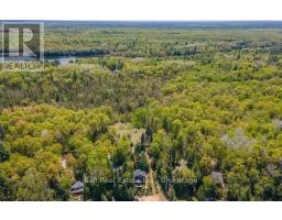 117 Fire Route 396 Route, Trent Lakes, ON K0M2A0 Photo 43