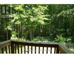 382488 Concession 17 Road, Georgian Bluffs, ON N0H2T0 Photo 37