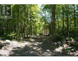 382488 Concession 17 Road, Georgian Bluffs, ON N0H2T0 Photo 41