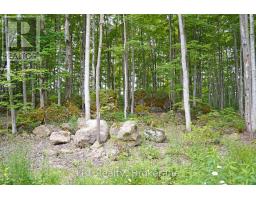 382488 Concession 17 Road, Georgian Bluffs, ON N0H2T0 Photo 43