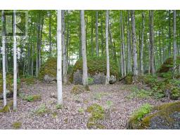382488 Concession 17 Road, Georgian Bluffs, ON N0H2T0 Photo 44