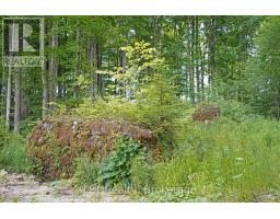 382488 Concession 17 Road, Georgian Bluffs, ON N0H2T0 Photo 45