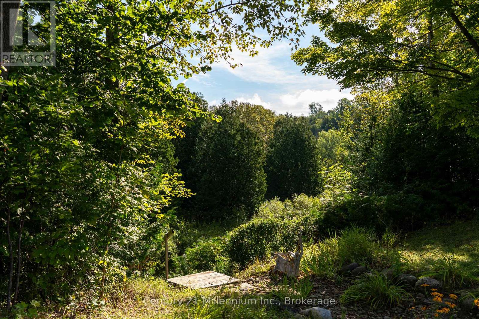 359485 BAYSHORE ROAD - Image 48