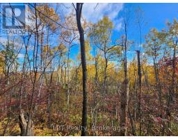 Lt 15 Plan 834 Grey Road 1, Georgian Bluffs, ON N0H1S0 Photo 10