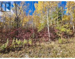 Lt 15 Plan 834 Grey Road 1, Georgian Bluffs, ON N0H1S0 Photo 11