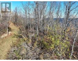Lt 15 Plan 834 Grey Road 1, Georgian Bluffs, ON N0H1S0 Photo 13