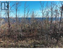 Lt 15 Plan 834 Grey Road 1, Georgian Bluffs, ON N0H1S0 Photo 14
