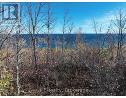 Lt 15 Plan 834 Grey Road 1, Georgian Bluffs, ON N0H1S0 Photo 15