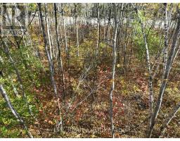 Lt 15 Plan 834 Grey Road 1, Georgian Bluffs, ON N0H1S0 Photo 18