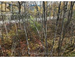 Lt 15 Plan 834 Grey Road 1, Georgian Bluffs, ON N0H1S0 Photo 19