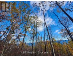 Lt 15 Plan 834 Grey Road 1, Georgian Bluffs, ON N0H1S0 Photo 8