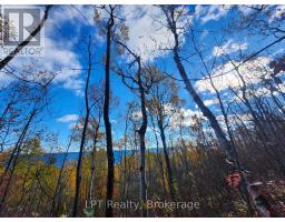 Lt 15 Plan 834 Grey Road 1, Georgian Bluffs, ON N0H1S0 Photo 9