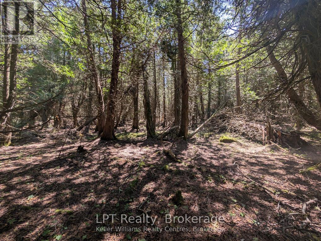 Pt Lt 56 Con 4 Cape Hurd Road — photo 18