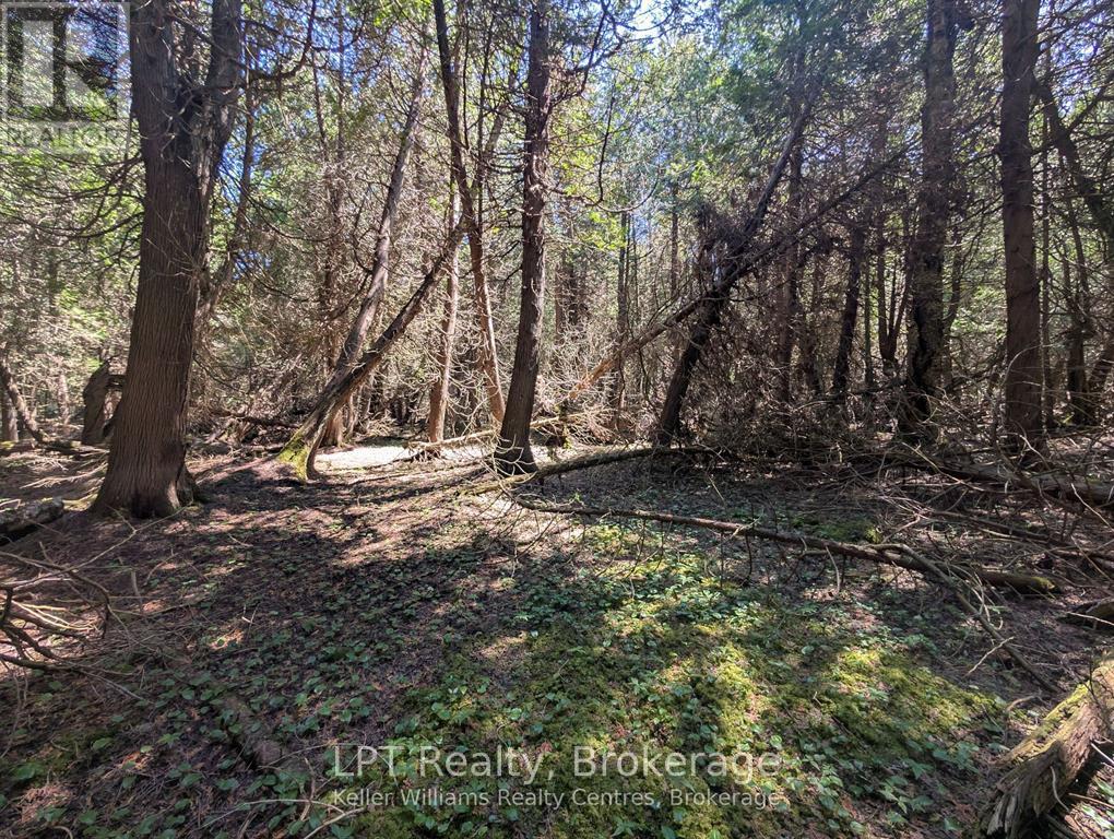 Pt Lt 56 Con 4 Cape Hurd Road — photo 19