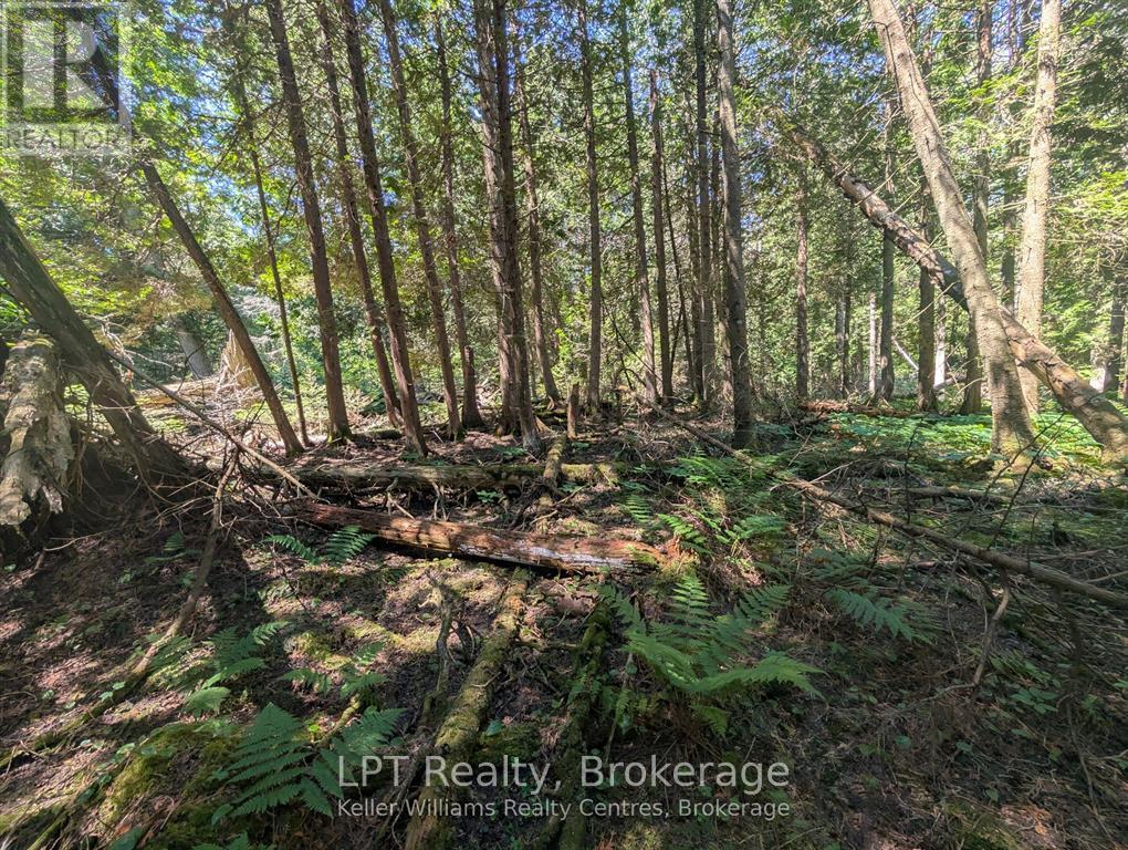 Pt Lt 56 Con 4 Cape Hurd Road — photo 21