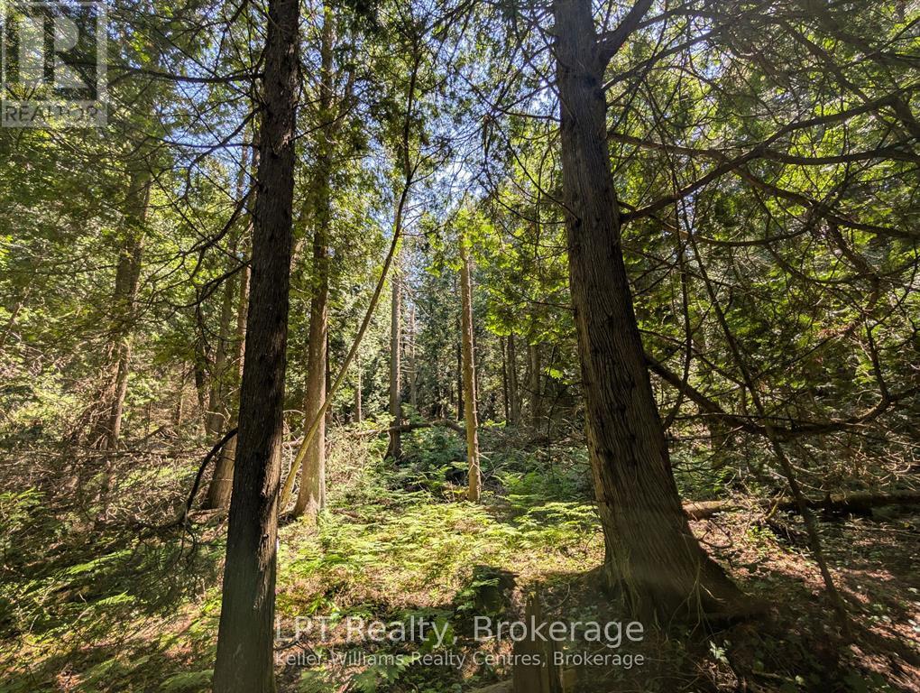 Pt Lt 56 Con 4 Cape Hurd Road — photo 24