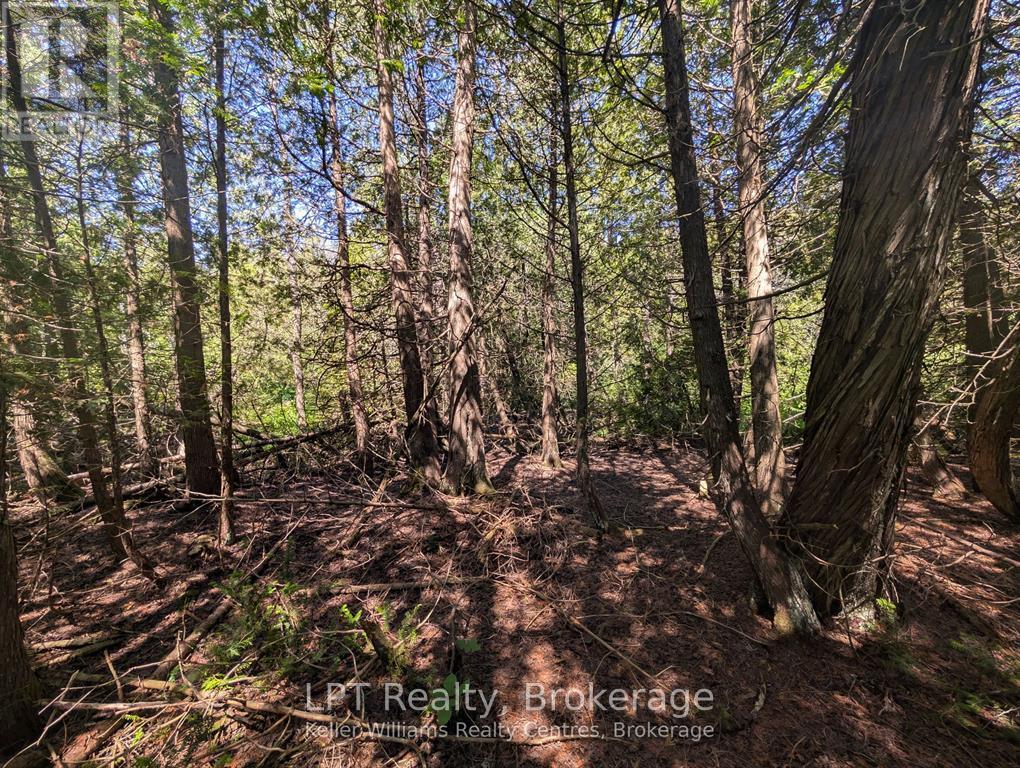 Pt Lt 56 Con 4 Cape Hurd Road — photo 26