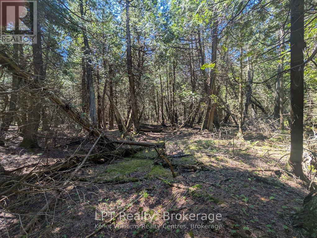 Pt Lt 56 Con 4 Cape Hurd Road — photo 27
