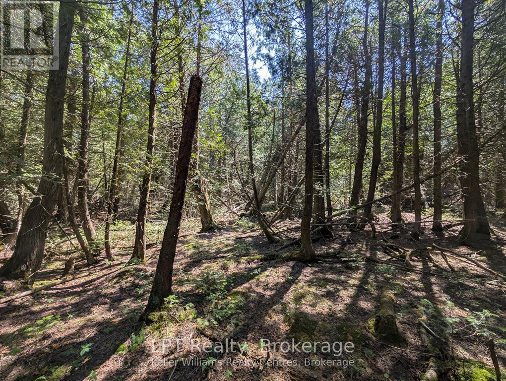 Pt Lt 56 Con 4 Cape Hurd Road — photo 28
