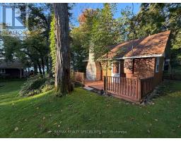 9 Shields Lane, Kawartha Lakes, ON K0M1K0 Photo 34
