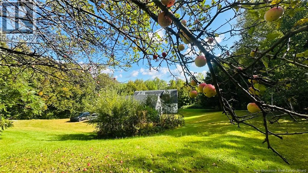 25 Fort Meductic Road - Image 19
