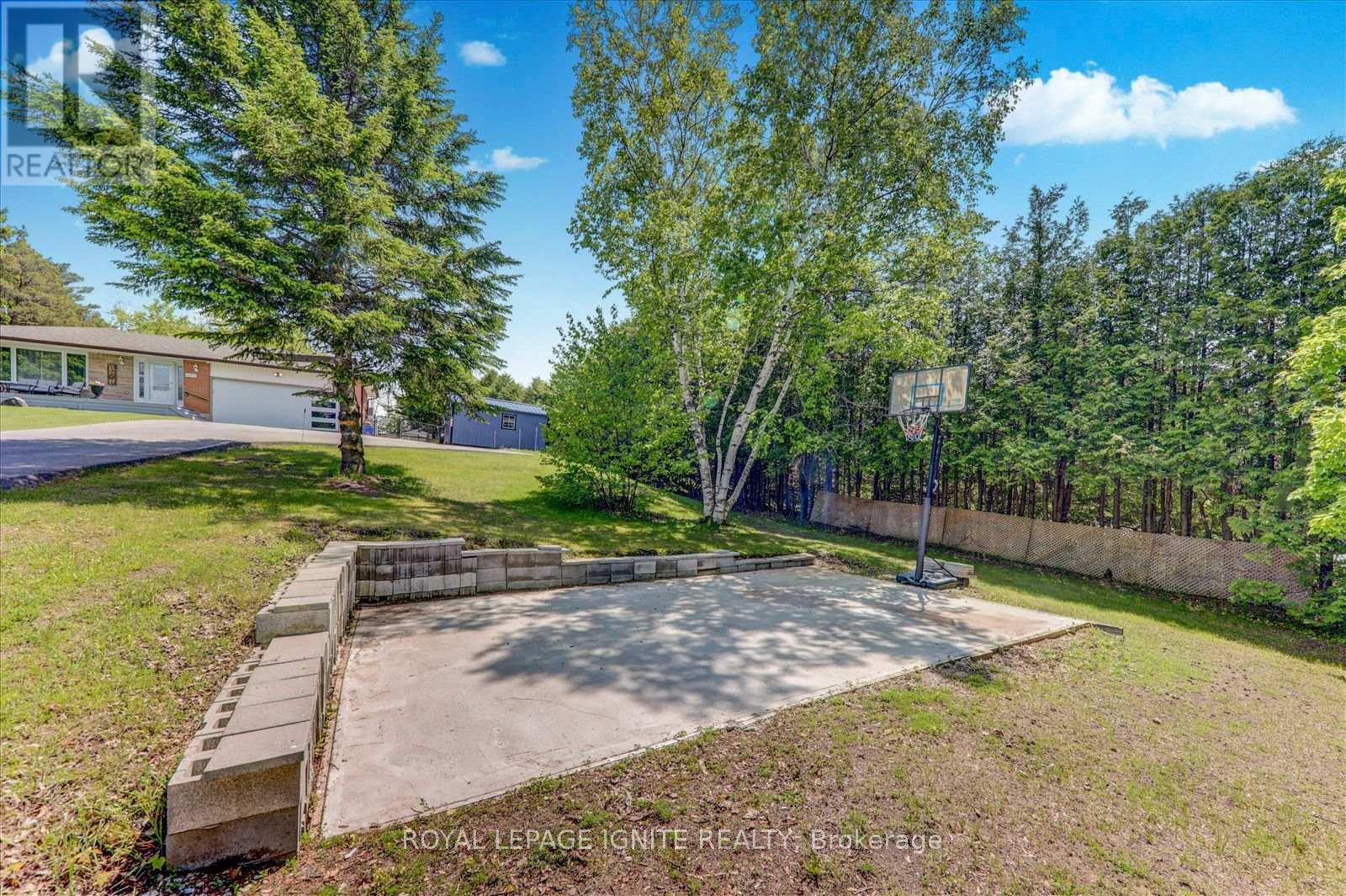 4409 Hill Street, Clarington, ON photo 11