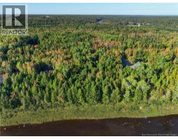 Lot 12 Johnson Road, Renous, NB E9E2C2 Photo 15