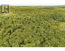 1099 Wolfkin Lake Road, Lake Of Bays, ON P0B1A0 Photo 37