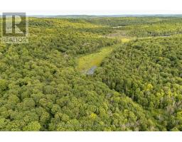1099 Wolfkin Lake Road, Lake Of Bays, ON P0B1A0 Photo 6