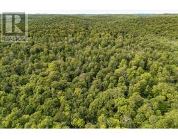 1099 Wolfkin Lake Road, Lake Of Bays, ON P0B1A0 Photo 38