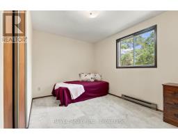123 Ardwick Street, Whitby, ON L1N8A2 Photo 12