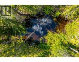 8290 Lincoln Road, Vernon, BC V1B3M8 Photo 15