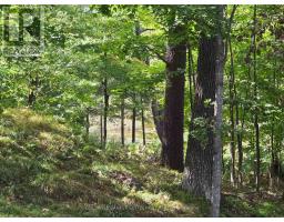 254 Lakewood Road, Tay Valley, ON K7H3C5 Photo 41