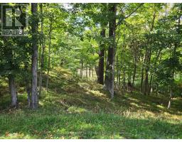 254 Lakewood Road, Tay Valley, ON K7H3C5 Photo 42