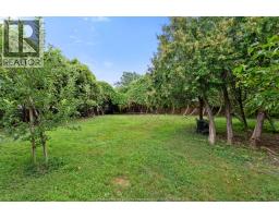 970 Morand Street, Windsor, ON N9G1J4 Photo 46