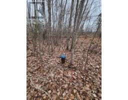 Lot Highway 215, South Maitland, NS B0N1T0 Photo 10