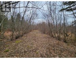 Lot Highway 215, South Maitland, NS B0N1T0 Photo 11