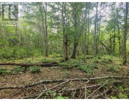 Lot Highway 215, South Maitland, NS B0N1T0 Photo 12