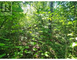 Lot Highway 215, South Maitland, NS B0N1T0 Photo 17
