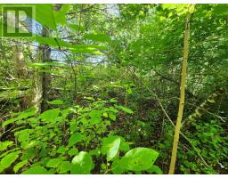 Lot Highway 215, South Maitland, NS B0N1T0 Photo 15