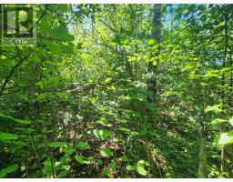 Lot Highway 215, South Maitland, NS B0N1T0 Photo 16